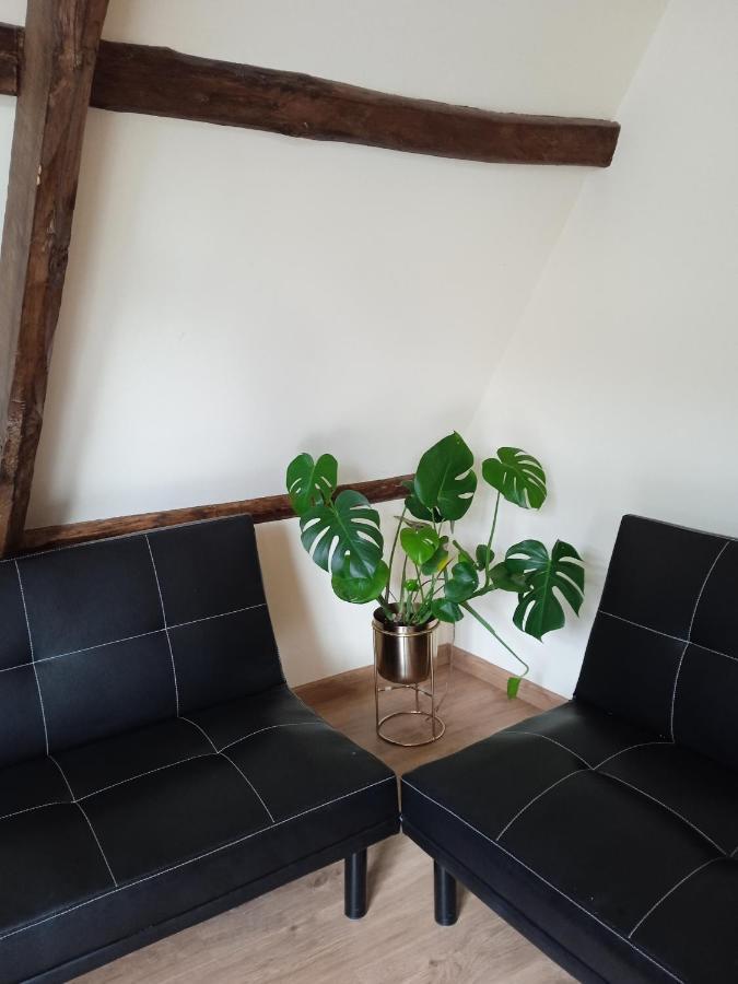 Albergue De Peregrinos Compostela โมลีนาเซกา ภายนอก รูปภาพ